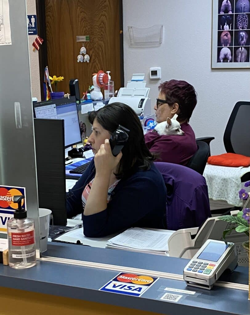 Sacramento Colon and Rectal Surgery team at work stations