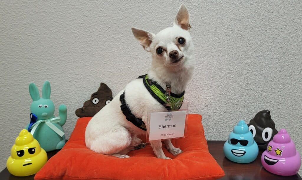 Sherman the Office Mascot